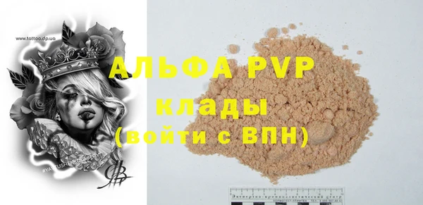 индика Алексин
