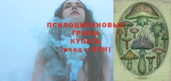 ALPHA PVP Няндома