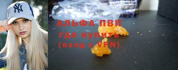 индика Алексин