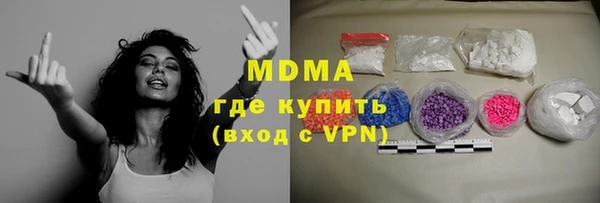 индика Алексин