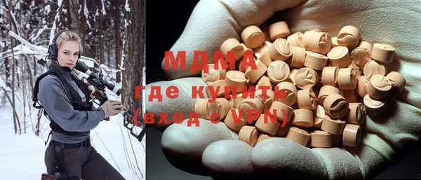 индика Алексин