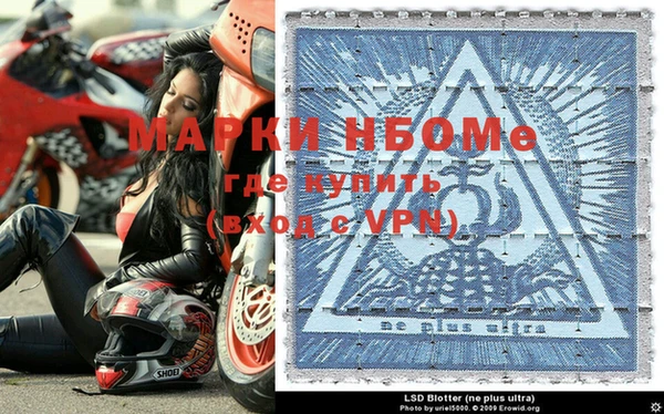 индика Алексин