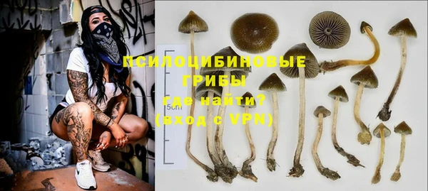 индика Алексин