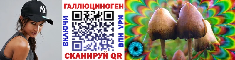 Псилоцибиновые грибы GOLDEN TEACHER  гидра ССЫЛКА  Железногорск 